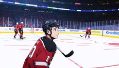 NHL Offseason Insights: A Quiet Period with Future Prospects